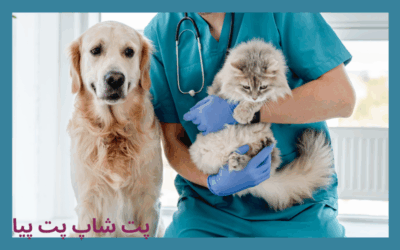 قرص یورینامین سگ و گربه یوروپت (محافظت از مجاری ادرار) بسته 50 عددی 1 شاپ پت پیا 800 x 500 px 1 قرص یورینامین سگ و گربه یوروپت (محافظت از مجاری ادرار) بسته 50 عددی
