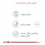 مزایای غذای خشک گربه رویال کنین دایجستیو کر – کمک به هضم سالم، کاهش بوی مدفوع و بهبود سلامت گوارشی گربه‌ها.