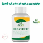 قرص هپاتوفیت برای حمایت از سلامت کبد سگ‌ها و گربه‌ها. فرمول پیشرفته با ترکیبات گیاهی وآنتی‌اکسیدانی برای تقویت عملکرد کبد.