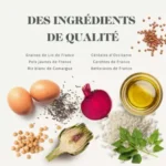 غذای خشک یورینری گربه بابین – طعم ماهی قزل‌آلا (1.5 کیلوگرم)