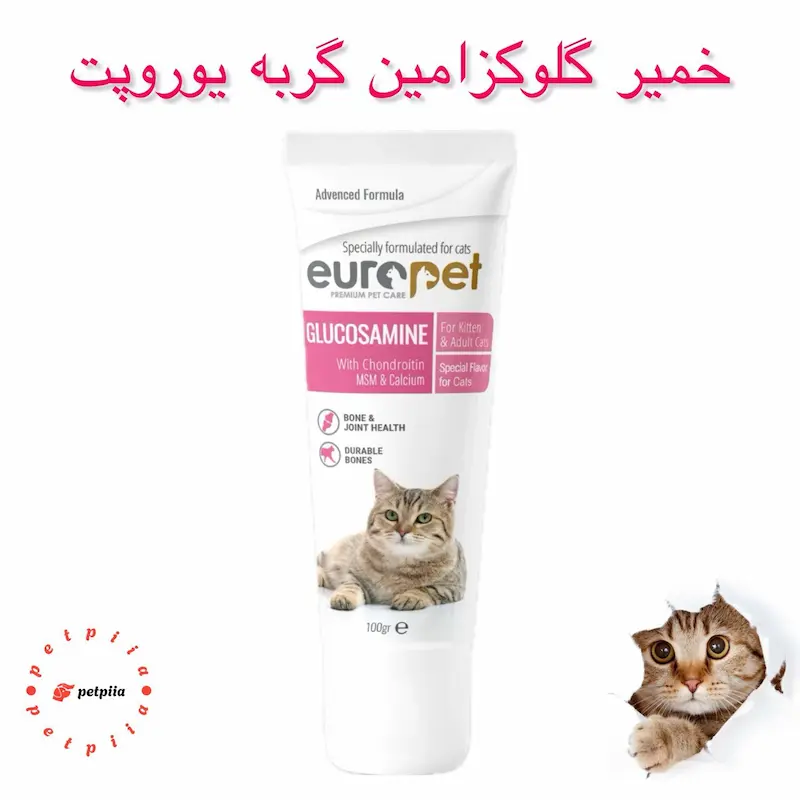 europet-cat-glucosamine-paste-100g خمیر گلوکزامین گربه یوروپت - 100 گرم