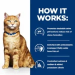 Hill's Prescription Diet Feline c/d Multicare Urinary Care Chicken for Cats - غذای خشک درمانی هیلز با طعم مرغ، مناسب برای گربه‌ها با مشکلات ادراری و تشکیل سنگ‌های استروویت.