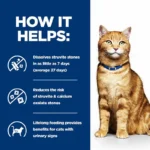 Hill's Prescription Diet Feline c/d Multicare Urinary Care Chicken Ingredients - مواد اولیه غذای خشک گربه هیلز یورینری، شامل مرغ و ترکیبات پشتیبان سلامت سیستم ادراری.