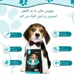 تشویقی آرام‌بخش سگ اویمال با طعم گوشت گاو – 60 عددی