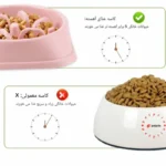 ظرف غذای آرام‌خور سگ - پیشگیری از نفخ، چاقی و مشکلات گوارشی با طراحی ویژه برای خوردن آهسته‌تر و سالم‌تر