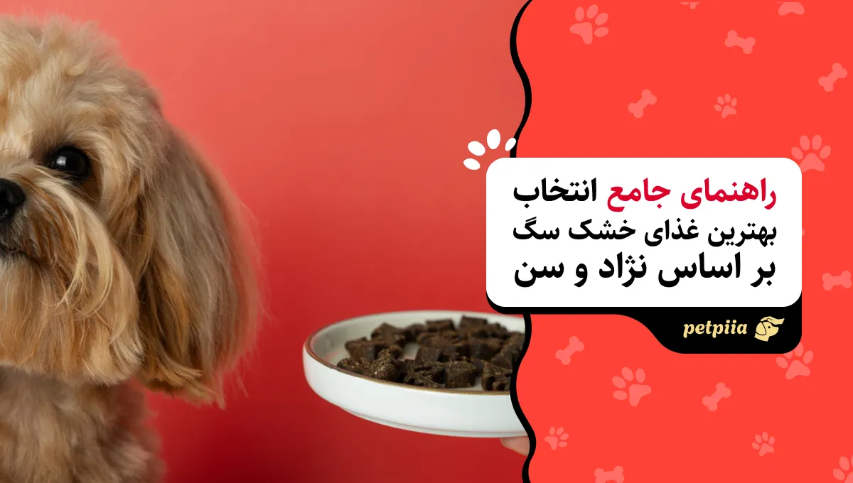 راهنمای جامع انتخاب بهترین غذای خشک سگ بر اساس نژاد و سن