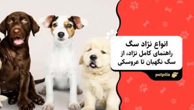 انواع نژاد سگ: راهنمای کامل، ازسگ نگهبان تا عروسکی