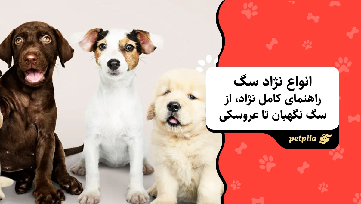 انواع نژاد سگ: راهنمای کامل، ازسگ نگهبان تا عروسکی