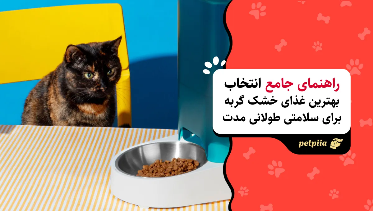 غذای خشک گربه صفحه اصلی