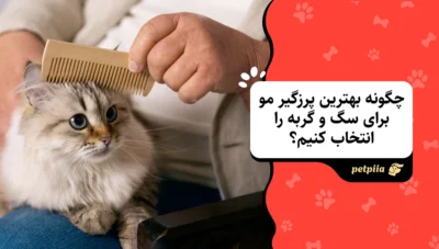 چگونه بهترین پرزگیر مو برای سگ و گربه را انتخاب کنیم؟