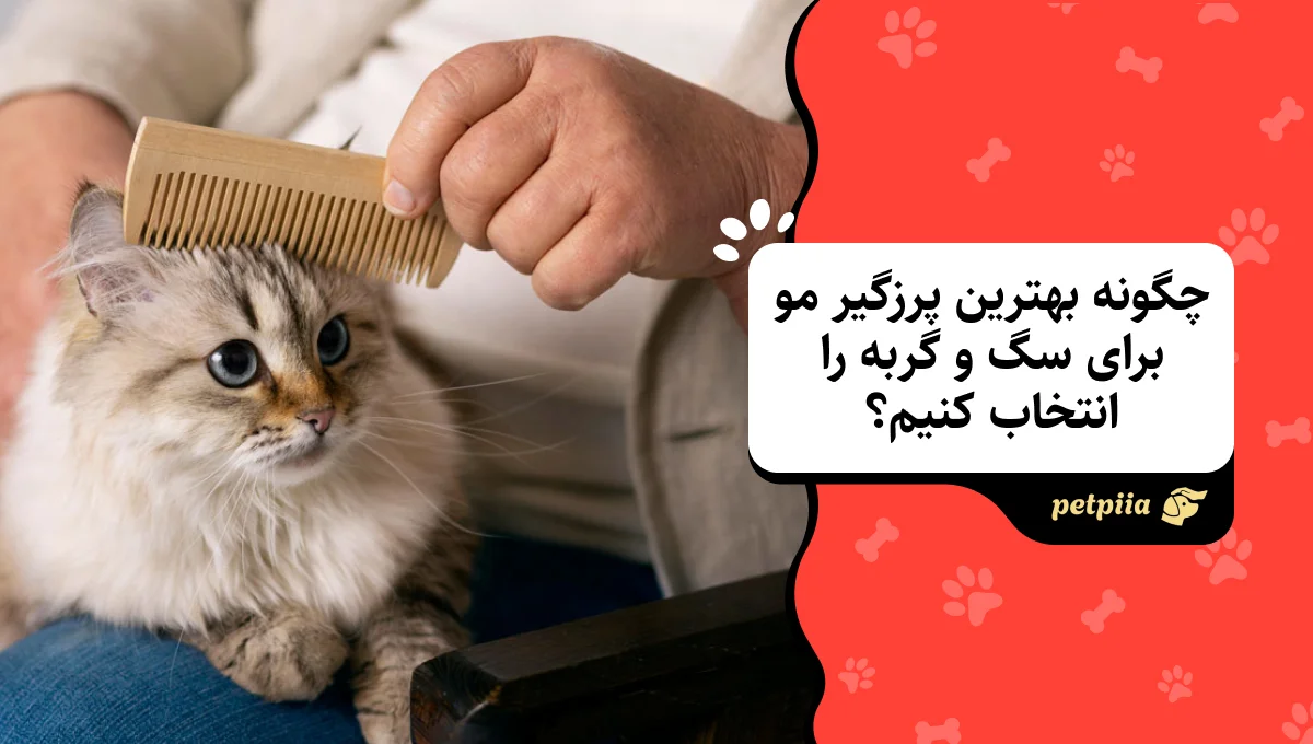 چگونه بهترین پرزگیر مو برای سگ و گربه را انتخاب کنیم؟