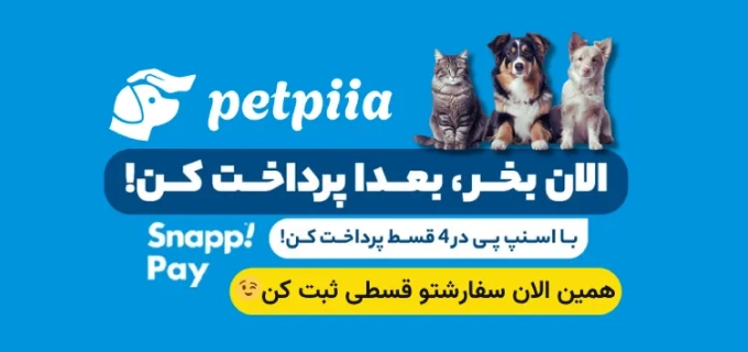 Snappay mobile صفحه اصلی قبلی
