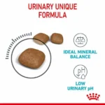 غذای خشک گربه یورینری کر رویال کنین (Royal Canin Urinary Care) وزن ۲ کیلوگرم | مناسب سلامت دستگاه ادراری - Image 2