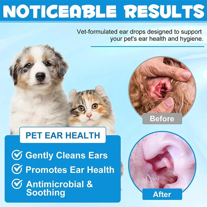 قطره گوش سگ و گربه اویمال 60 میل | Oimmal Ear Drops ضد التهاب و ضدعفونی 1 قطره گوش سگ و گربه اویمال 60 میل