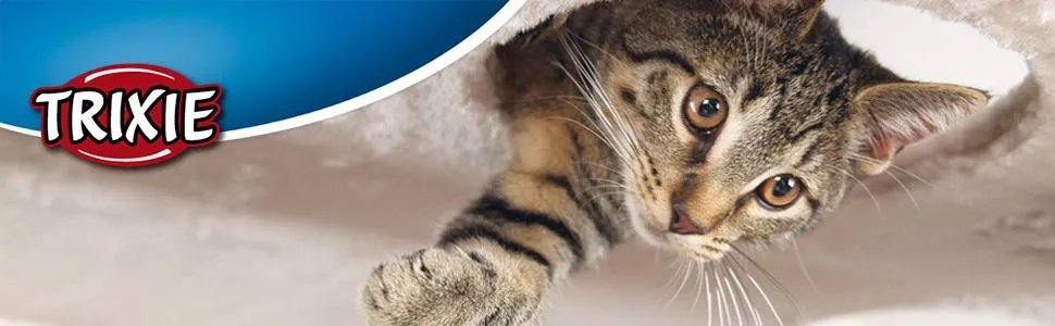 کتنیپ گربه تریکسی TRIXIE مدل Katzenminze وزن 20 گرم 1 نیپ گربه تریکسی 20 TRIXIEگرم کتنیپ گربه تریکسی TRIXIE مدل Katzenminze وزن 20 گرم