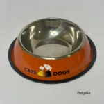 ظرف غذای استیل مشترک سگ و گربه مدل Cats & Dogs سایز 2