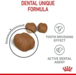دانه غذای خشک گربه رویال کنین Dental Care با طراحی مخصوص تمیزکننده دندان
