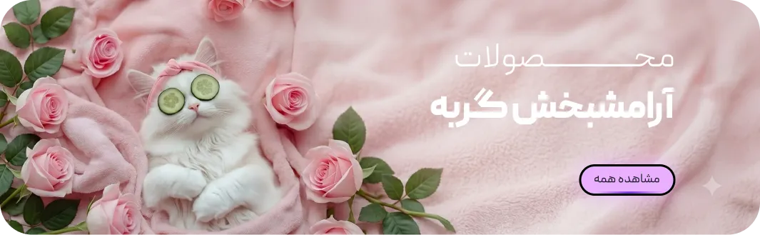 Frame 2147224737 1 1 صفحه اصلی