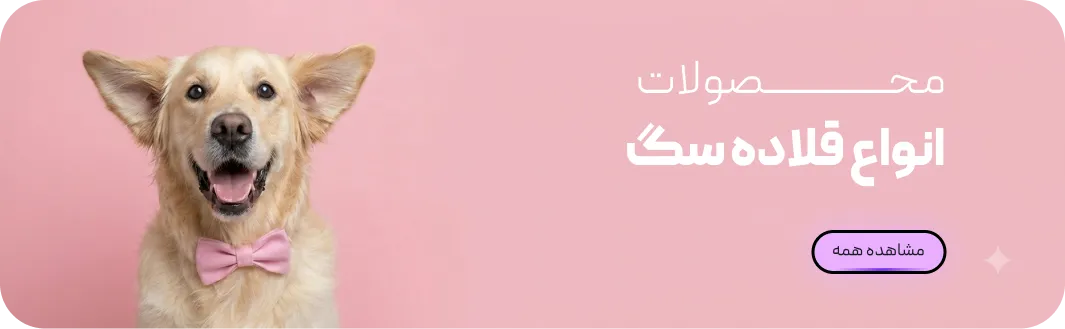 Frame 2147224737 1 صفحه اصلی