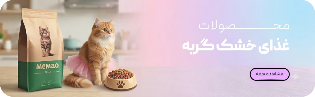 Frame 2147224738 صفحه اصلی