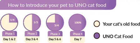 شروع غذا خشک گربه اونو uno غذای خشک گربه بالغ اونو UNO مدل Complete Nutrition وزن 2 کیلوگرم
