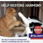 فرومون آرام‌بخش گربه فلیوی FELIWAY Friends — بسته ۳ عددی ۴۸ میلی‌لیتر - Image 3
