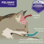 فرومون آرام‌بخش گربه فلیوی FELIWAY Friends — بسته ۳ عددی ۴۸ میلی‌لیتر - Image 5