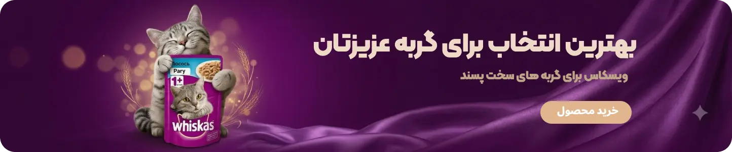 بنر پوچ گربه ویسکاس صفحه اصلی