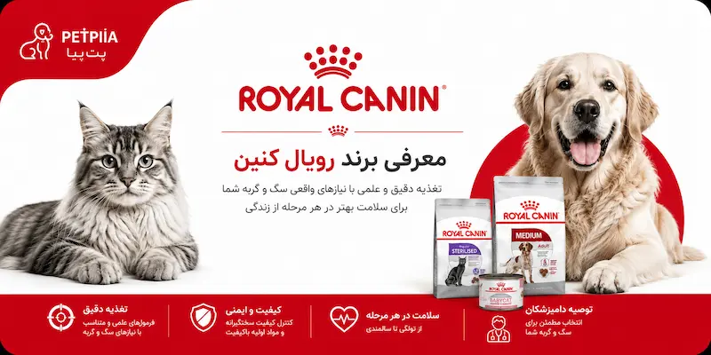 معرفی برند رویال کنین و غذای سگ و گربه در Petpiia