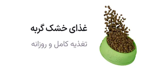 Group 1321315283 صفحه اصلی