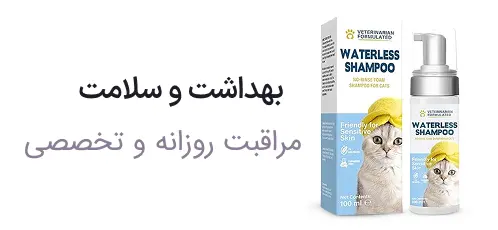 cat health care صفحه اصلی
