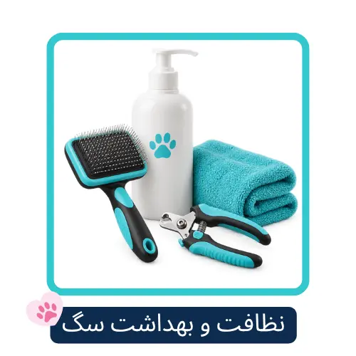 dog grooming hygiene petpiia.webp صفحه اصلی
