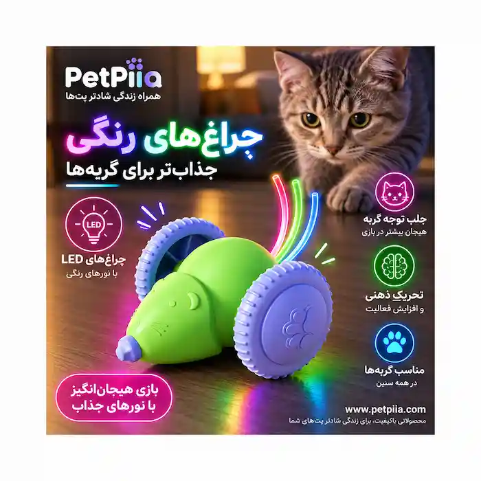 اسباب بازی موش هوشمند شارژی گربه با چراغ‌های رنگی LED