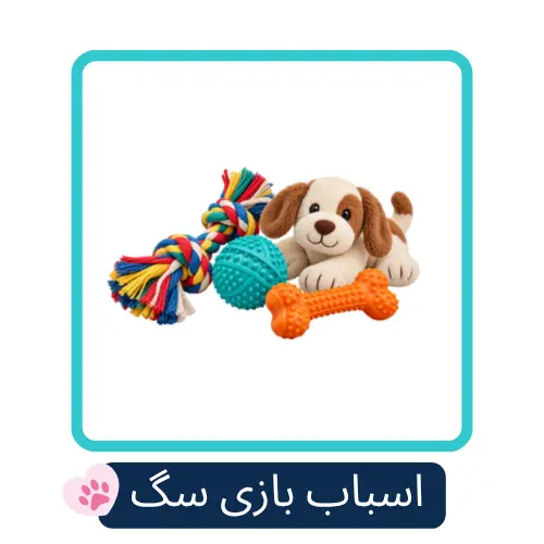 اسباب بازی سگ dog toys petpiia صفحه اصلی