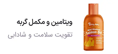 cat vitamins supplements سلامت گربه صفحه اصلی